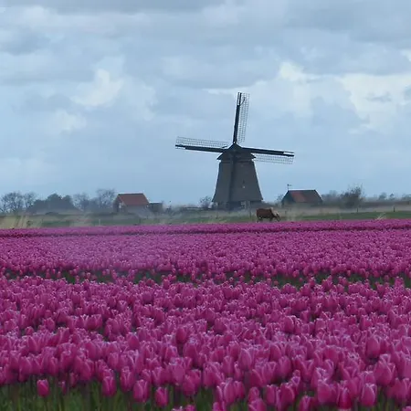 Het Groene Veldt فندق مبيت وإفطار هيلو