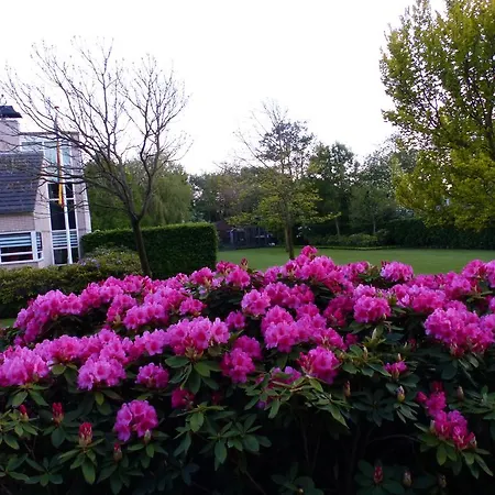 Het Groene Veldt Couette-café Heiloo