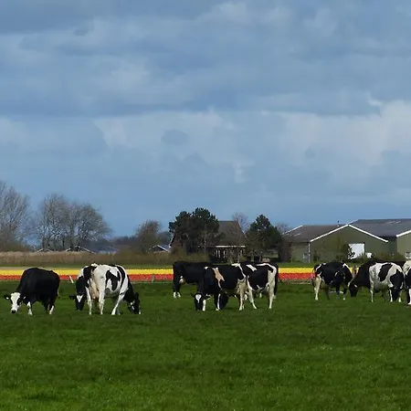 Het Groene Veldt Couette-café Heiloo